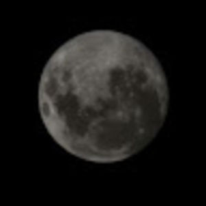 Meet your Posher, I dont even